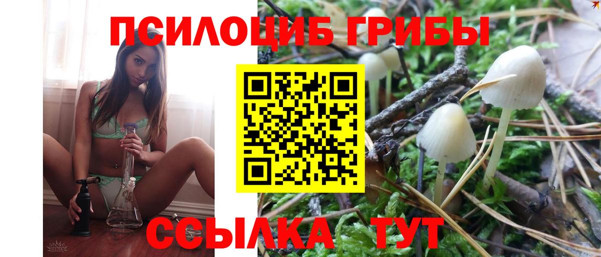 Владикавказ  Псилоцибиновые грибы Cubensis  где найти   Вход с VPN 